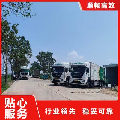 滁州仔豬恒溫車專業(yè)運輸 全程恒溫與定時投喂的貼心保障